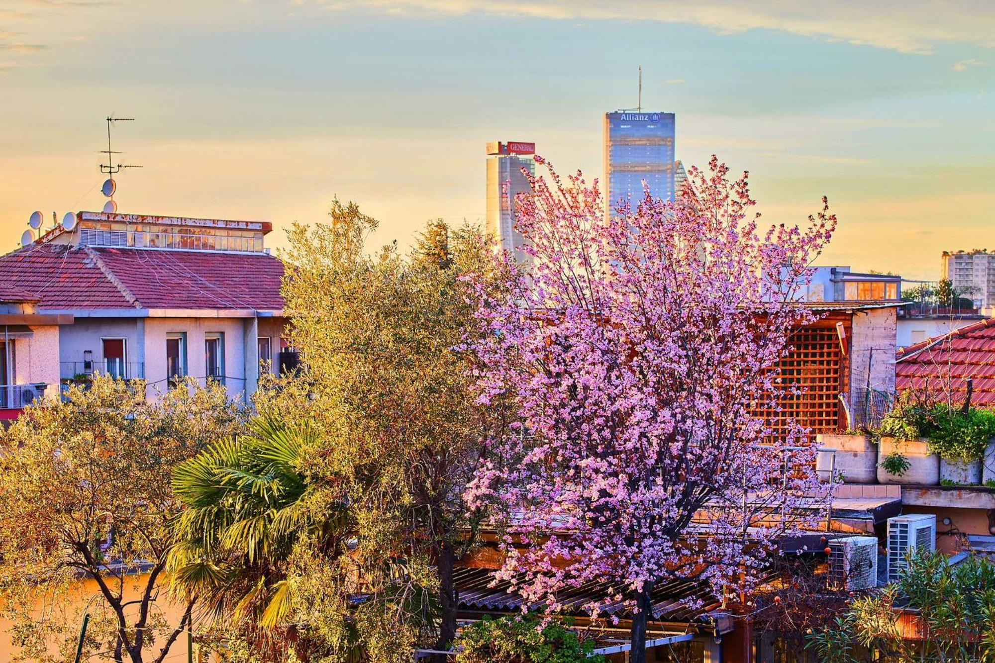 Sant'Ambrogio Charme Apartment Milano Dış mekan fotoğraf